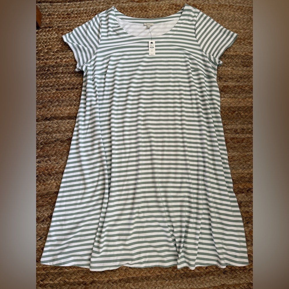 Talbots Mint Green and White Striped Short Sleeve Swing Dress